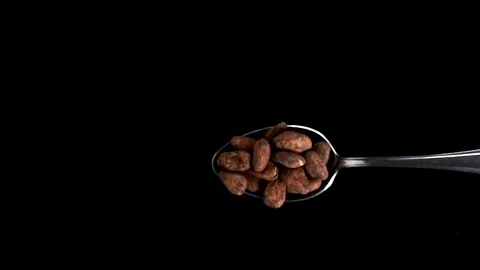 A Full Spoon of cacao bean Flying up and Falling down on black background closeu Stock Footage 121426034