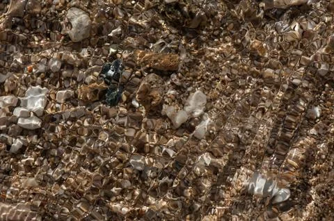 Full stop. Stock Photos