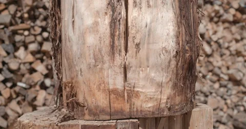 Full stump chopped in half @  240fps Stock Footage 68536966