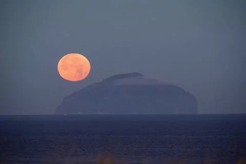 The full Sturgeon super moon sets behind the Ailsa Craig Stock Footage 204092741