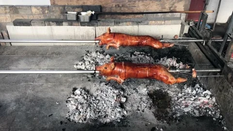 Full suckling pig roasted on the fire. Lechon Filipino BBQ Food Stock Footage