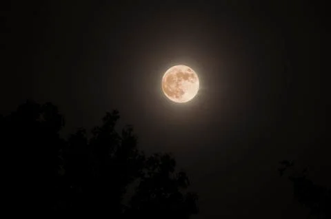 Full supermoon Stock Photos