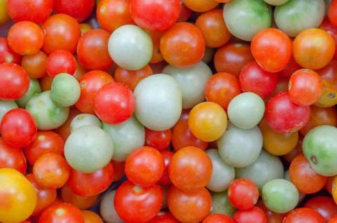 Full of tomato Stock Photos