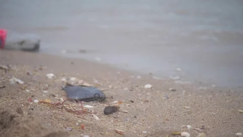 Full of trash on the beach Stock Footage 244148354