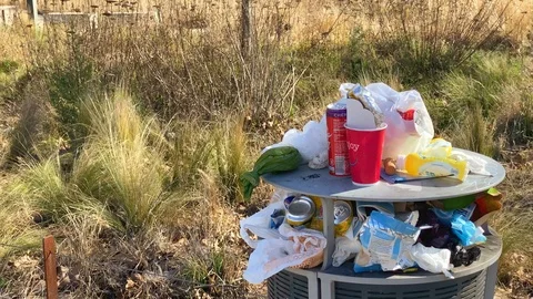 Full Trash cans in park, pile of disposable fast food garbage Stock Footage 125534283