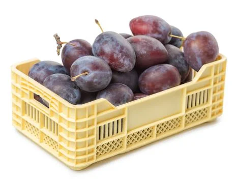 Full vegetable box with violet plum isolated on white background Foto stock