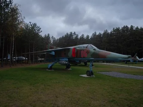 Full view of camouflaged attack jet underneath stormy clouds among pine trees Foto stock
