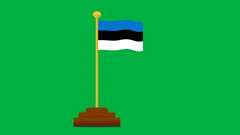 Full view of Estonia flag Stock Footage 195014192