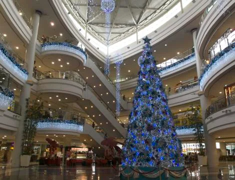 Full view of a giant christmas tree Stock Photos