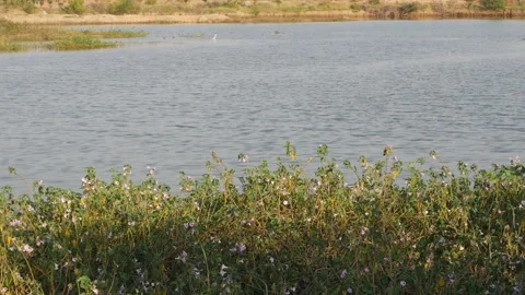Full view of lake filled with fresh water Stock-Footage 150717646
