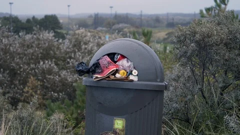 Full waste container in Holland, MEDIUM SHOT. Full garbage bin in national park. Vidéo 119419868