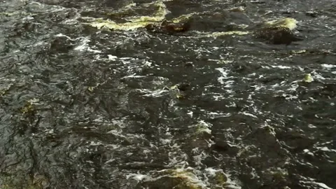 Full of water spring river 11 Vídeos de archivo 237215875