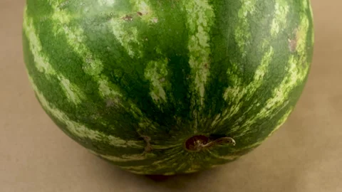 Full watermelon resting on a warm-toned surface under diffused studio light Video stock 308922591