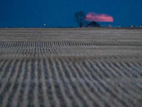 Full Worm Moon 스톡 사진