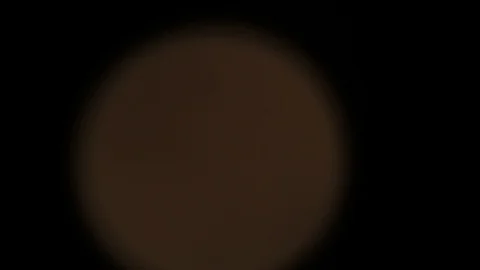 The Full yellow Moon In The Night Sky, slow motion video. Halloween backgrounds Stock Footage 118647868