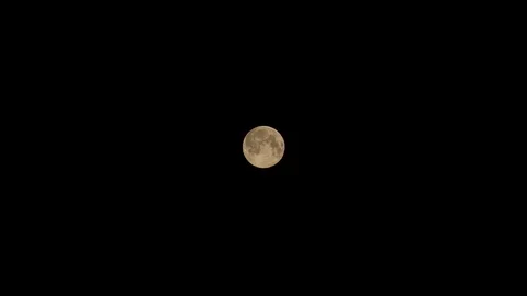 The Full yellow Moon In The Night Sky Stock Footage 128224911