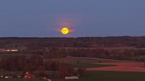 Full yellow moon setting over a rural forest and agricultural landscape at dusk Vídeo Stock 336697061