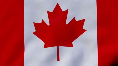 FullHD 60 FPS seamless loop with waving flag of Canada 動画素材 49008485