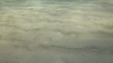 FULLHD Ocean Sand Stock Footage 114747217