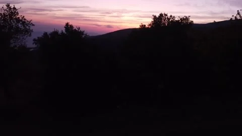 FULLHD Olive orchards of turkey from above Stock Footage 221919152