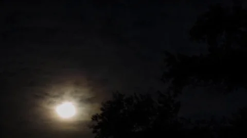 Fullmoon Cloud Passing Timelapse Stock Footage 83010859