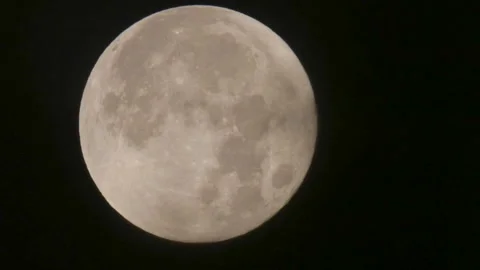 Fullmoon Stock Footage 163466524