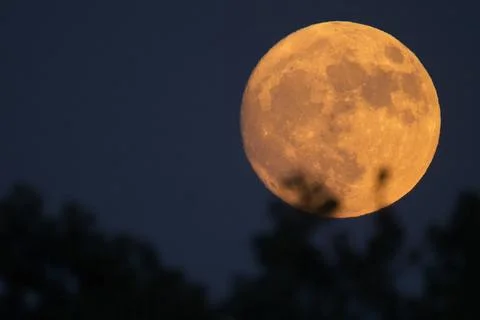 FullMoon Stock Photos