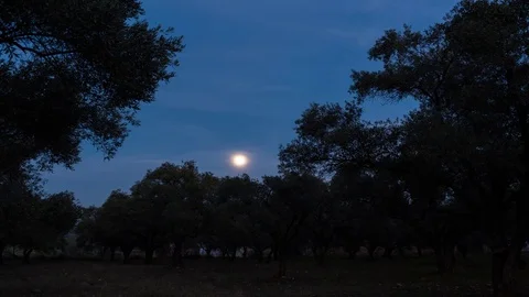 Fullmoon Timelapse and Cloud Passing Footage Video stock 83010799