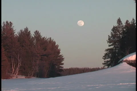 Fullmoon in the Winter Video stock 2201620