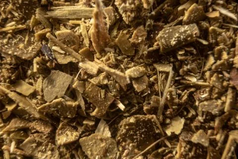 Fullscreen macro close-up with shallow depth of field of yerba mate. Texture. Stock Photos