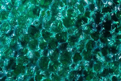 Fullscreen macro closeup with shallow depth of field of a sponge. Texture. Gr Stock Photos