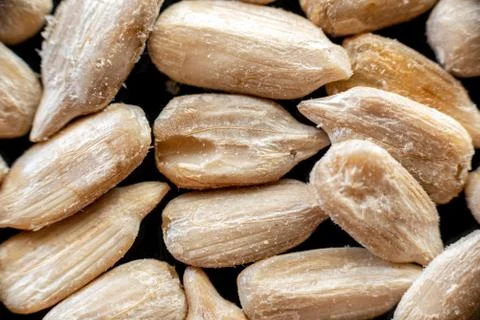 Fullscreen macro closeup with shallow depth of field of sunflower seeds on a  Stock Photos