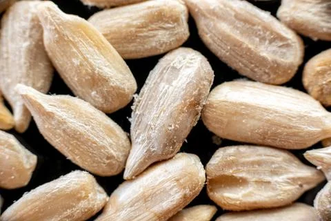 Fullscreen macro closeup with shallow depth of field of sunflower seeds on a  Stock Photos