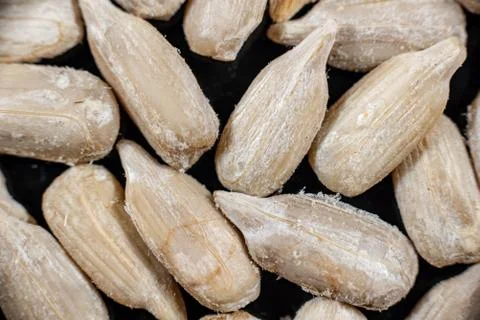 Fullscreen macro closeup with shallow depth of field of sunflower seeds on a  Stock Photos
