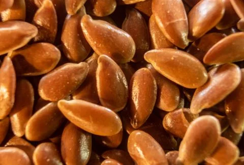 Fullscreen macro closeup with shallow depth of field of flax seed. Texture. G Stock Photos