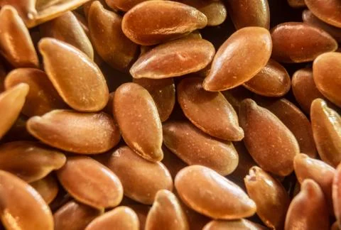 Fullscreen macro closeup with shallow depth of field of flax seed. Texture. G Stock Photos