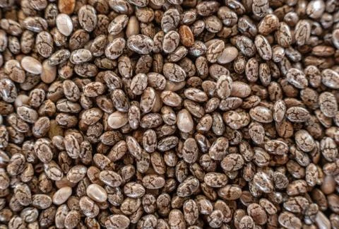 Fullscreen macro closeup with shallow depth of field of chia seeds. Texture.  Stock Photos