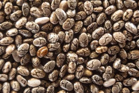Fullscreen macro closeup with shallow depth of field of chia seeds. Texture.  Stock Photos