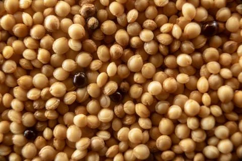 Fullscreen macro closeup with shallow depth of field of amaranth seeds. Textu Stock Photos