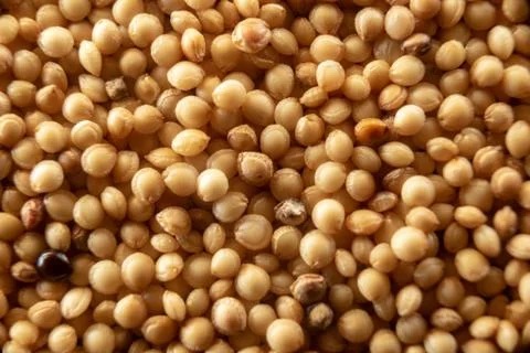 Fullscreen macro closeup with shallow depth of field of amaranth seeds. Textu Stock Photos