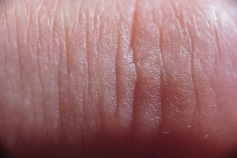 Fullscreen macro closeup with shallow depth of field of a finger. Texture. Gr Stock Photos