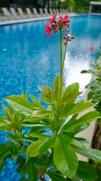 Fullsizeoutput fee Stock Photos