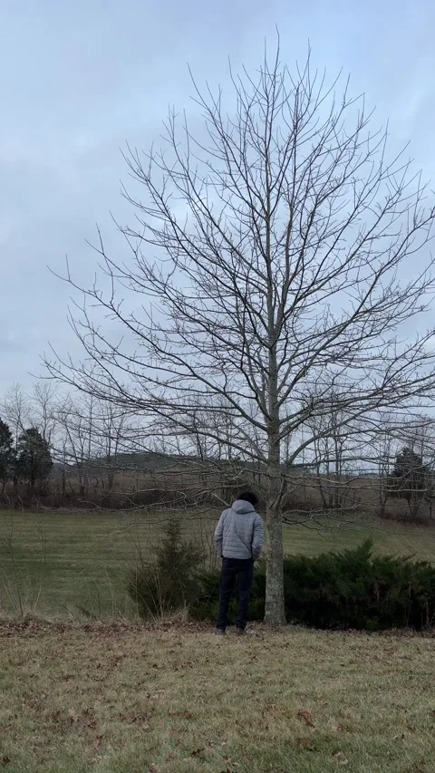 FullSizeRender 스톡 동영상 168711227