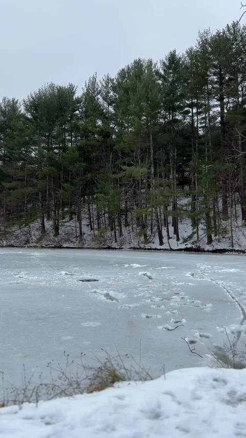 FullSizeRender 스톡 동영상 168842951