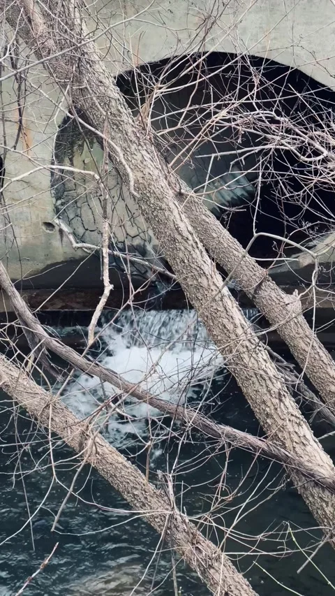 FullSizeRender Stock Footage 169309475