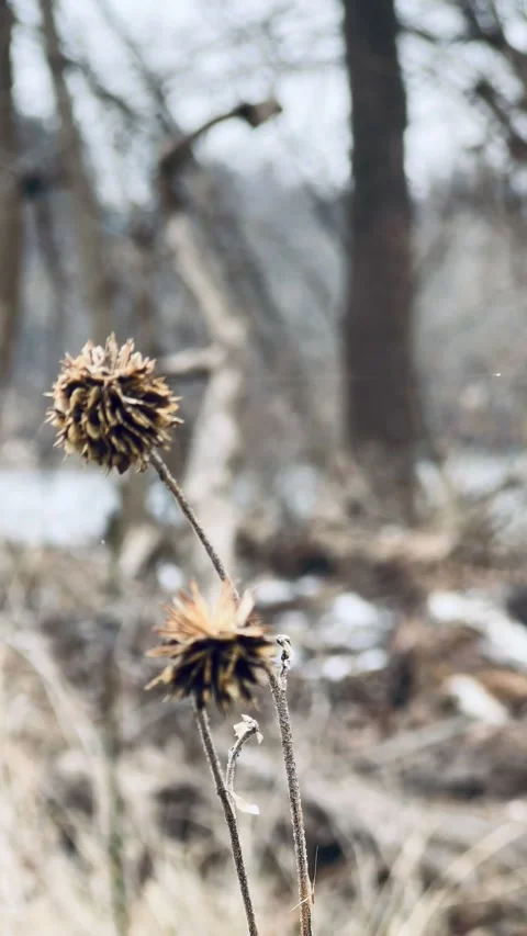 FullSizeRender Video stock 169309836