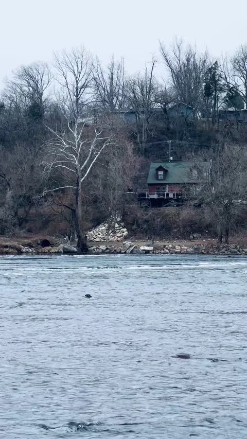 FullSizeRender Stock Footage 169310586