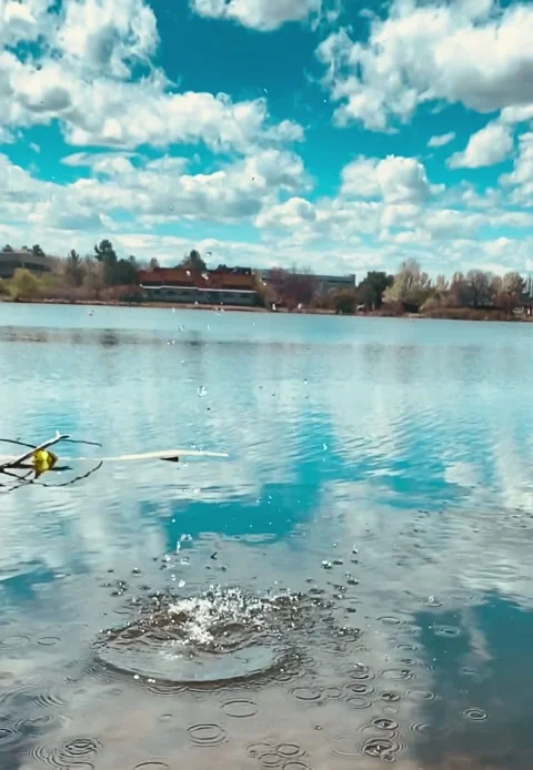 FullSizeRender Stock Footage 183112940