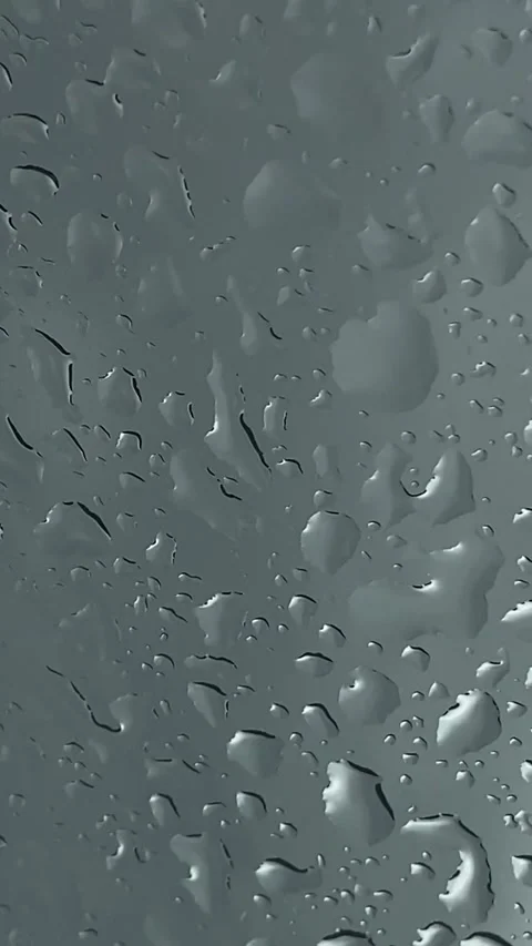 FullSizeRender 動画素材 224702114