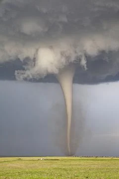 Fully Condensed Tornado, a rotating column of air reaching to the ground, a.. Stock Photos
